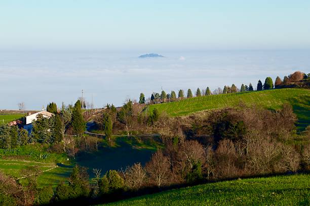 Landscape of Bertinoro in the fog stock photo