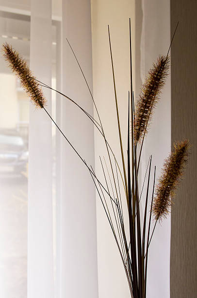 istock Decoration of reeds branches 514776614