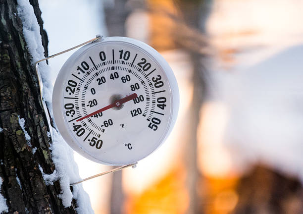 It's too cold outside.  Round analogue thermometer mounted to a tree outside displays the temperature at minus 36 degrees Celsius.  Extreme cold day.