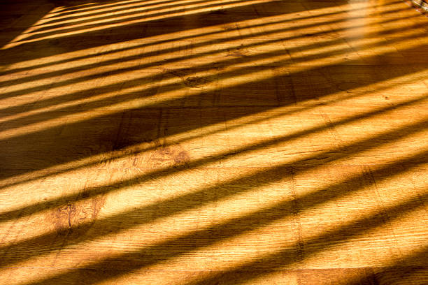 istock The texture of light wood in the sun 514779964
