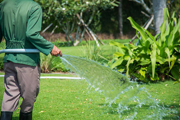 istock Pouring grass in the garden 514780580
