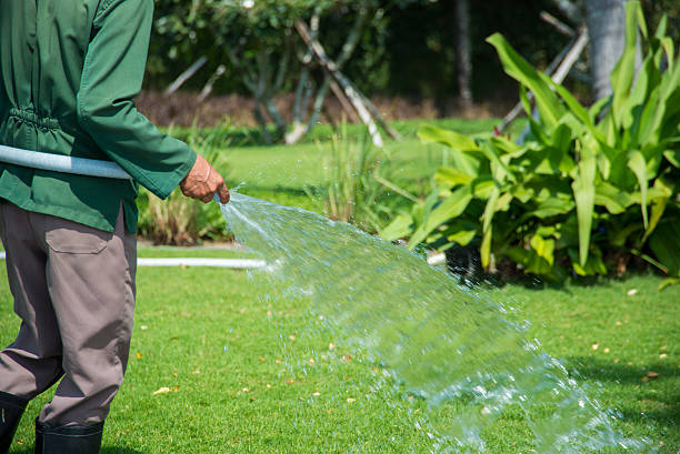 istock Man using tap to water the grass 514780674