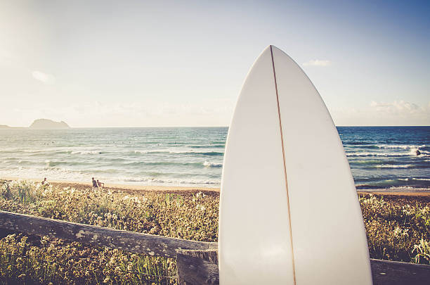 onda de surf na praia - surfing surfboard summer heat - fotografias e filmes do acervo