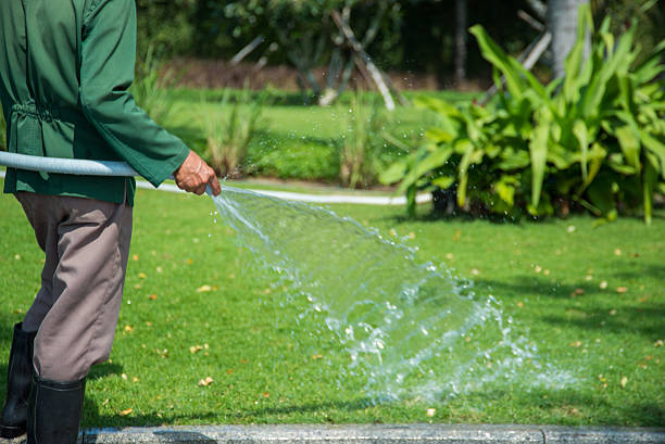 istock Pouring grass in the garden 514781340