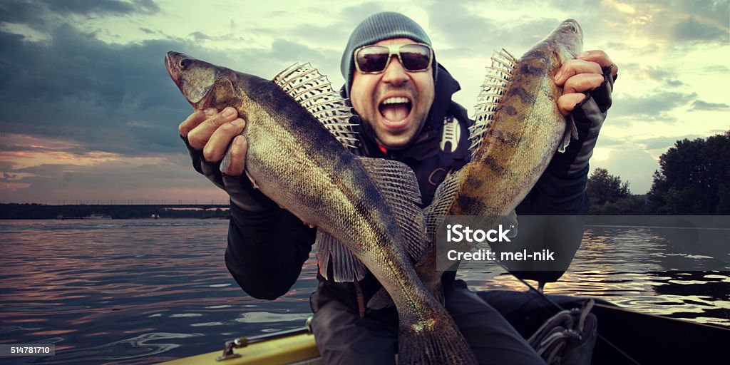 Happy angler with zander fishing trophy man fishing on a lake Fishing Stock Photo