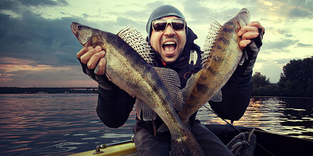 angler feliz com zander pesca trophy - sporting fisherman fishing recreational pursuit - fotografias e filmes do acervo