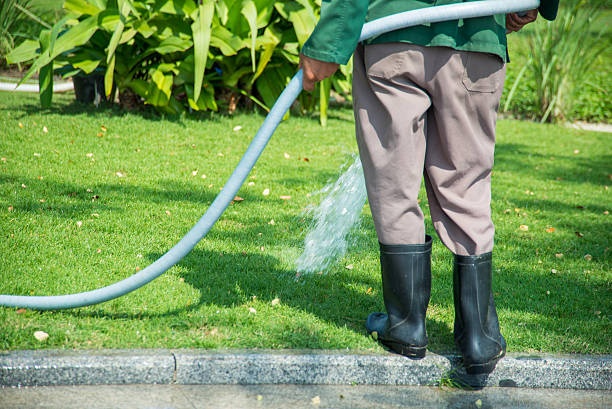 istock Man pouring grass in the park 514781866