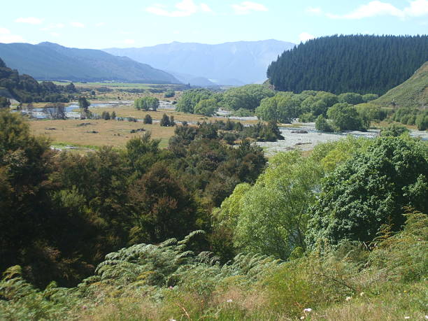 istock New Zealand Nature 514788910