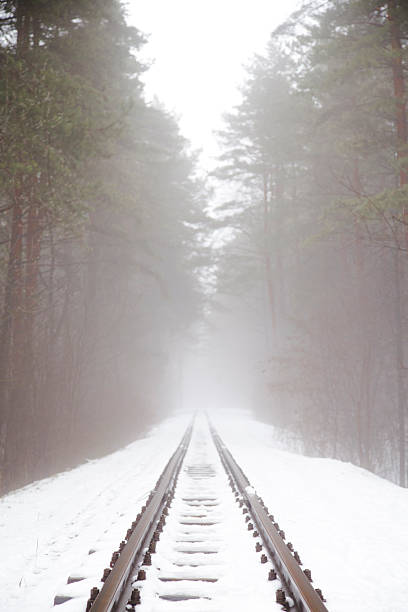 istock the early morning fog. 514790428