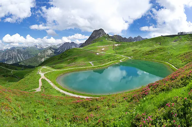 Allgau Alps - Lake Riezler Alpsee with blooming alpine roses. In the middle the mountain peak of the Kanzelwand, on the right the mountain station of the Kanzelwandbahn above Riezlern in Kleinwalsertal, Austria. 