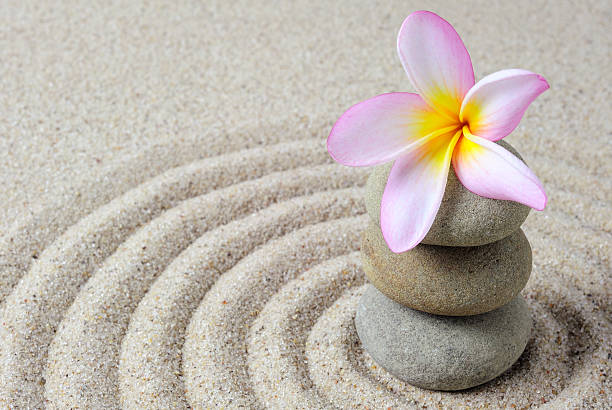 istock Frangipani flowers on a zen stones 514791092