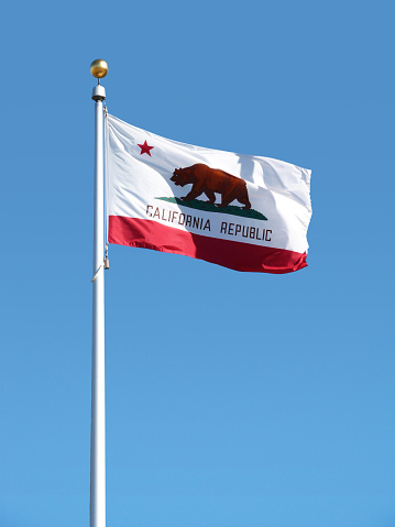 A California state flag waving on a silver pole with a bright clear blue sky. This is a symbol for the California Republic government.