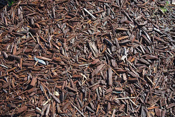 multicolored pieces of woodchips