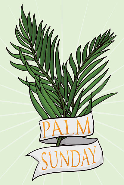 Couple of Branches with Ribbon for Palm Sunday Two branches with a white ribbon around it and golden text inside for Palm Sunday holiday. lent season stock illustrations