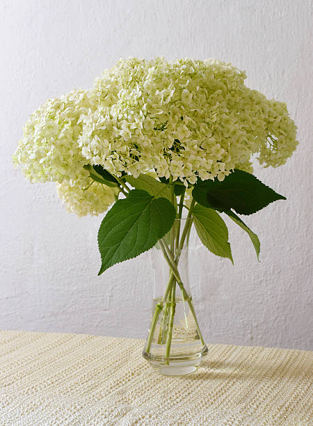 istock Bouquet of hydrangea flowers. 514793404