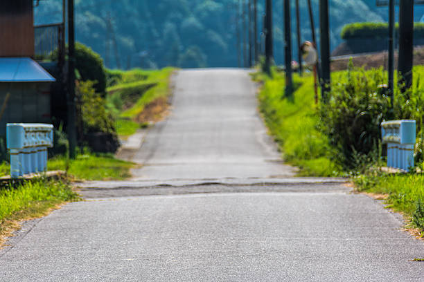 Straight Japanese Farm Road
