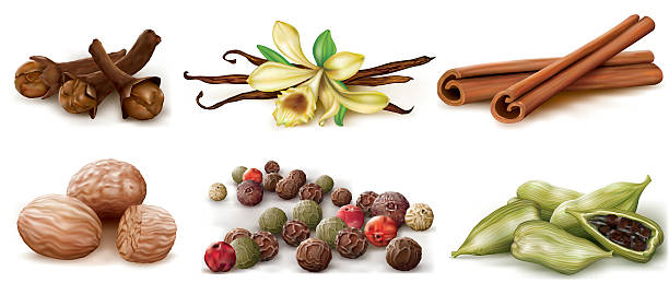 Different spices set Different spices set on white background. Vector Illustration cinnamon sticks cloves stock illustrations