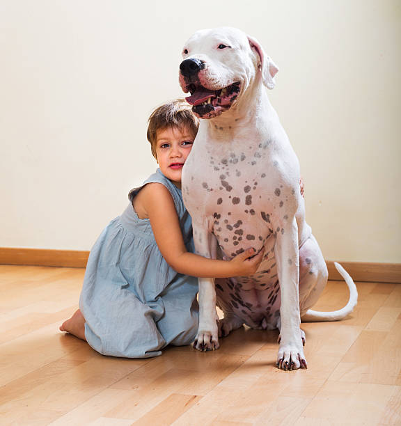 istock Little girl hugging white dog 514799491