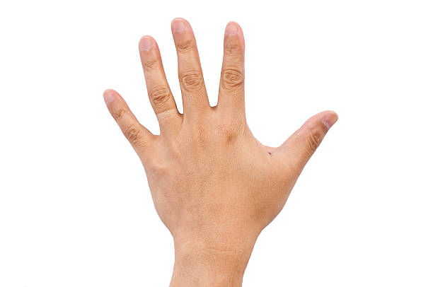 istock Hand of a man on white background 514801169