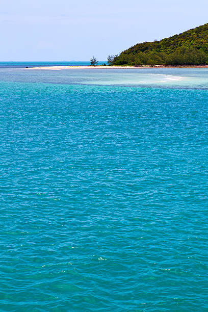 istock kho   bay  coastline   green lagoon and tree 514801619