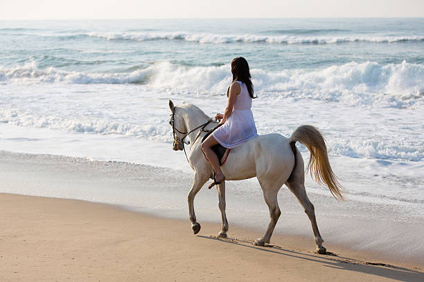 istock girl horse ride on the beach 514802185