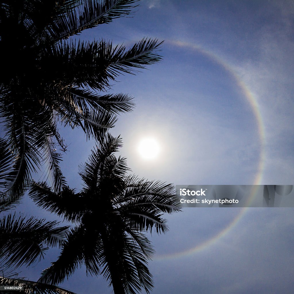 Sun halo Sun with circular rainbow sun halo in sky with cloud Atmosphere Stock Photo