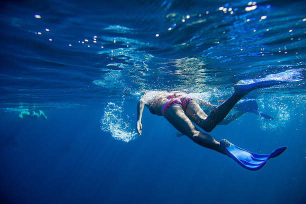 istock Swiming in the Indian ocean 514804235