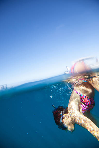 istock Snorkeling in the Indian ocean 514804249