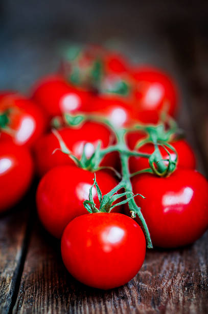 istock Tomatoes on the vine on rustic wooden background 514825988