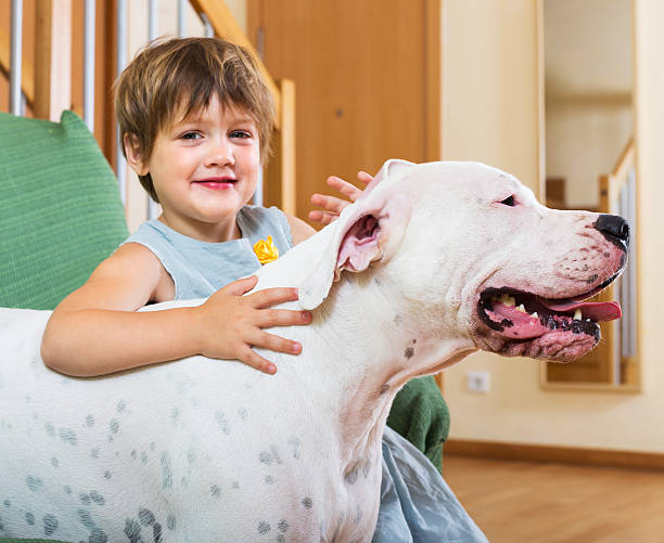 istock Little girl hugging white dog 514826005
