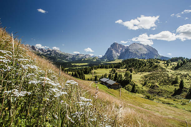 di siusi alpe - travel seiseralm mountain european alps ストックフォトと画像