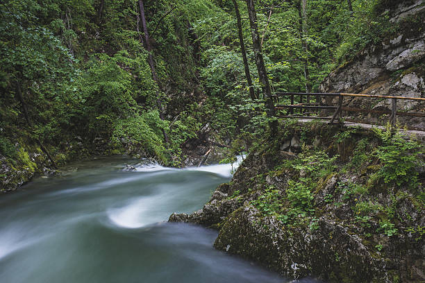 istock Flowing river in the forest, long exposure 514826944
