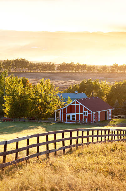 celeiro vermelho na prairie - alberta prairie farm fence - fotografias e filmes do acervo