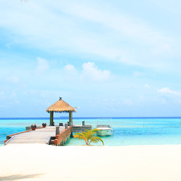 Over water bungalows with steps into amazing green lagoon