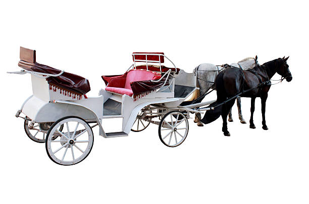 istock promenade coach with two harnessed horses isolated 514828821