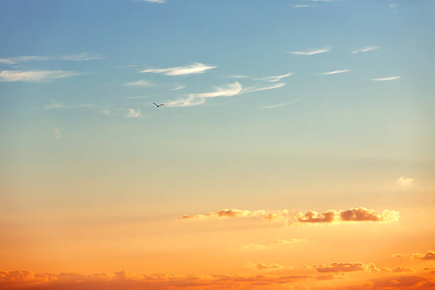Beautiful sunrise over the horizon