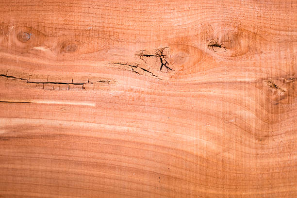 istock Backgrounds.  Cedar wood plank.  Textured, grained boards. 514830610