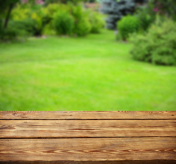 istock Defocused garden and wooden background 514831630