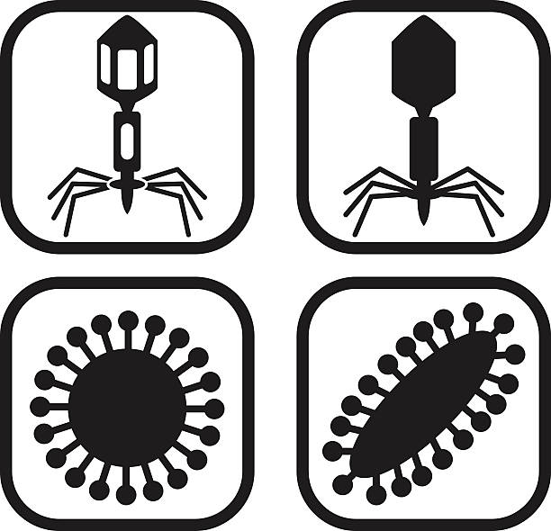 вирус икона-четыре варианта - biohazard symbol computer bug biology virus stock illustrations