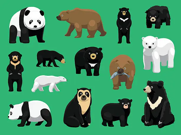 Vector illustration of Various Bears Cartoon Vector Illustration