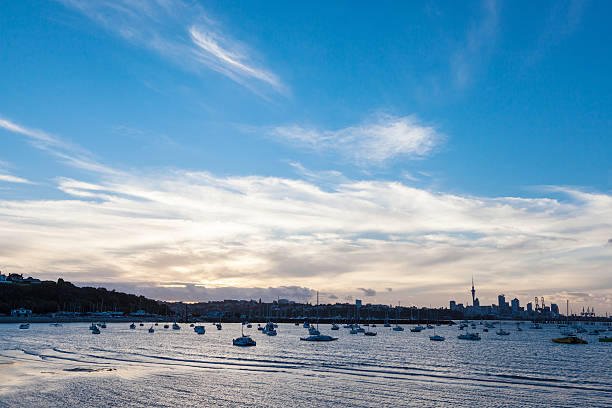 istock Panoramic view of Auckland's city background in twilight. 514836570