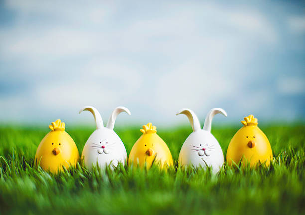 petites créatures de pâques assis dans l'herbe avec grand ciel bleu - easter chicks photos photos et images de collection