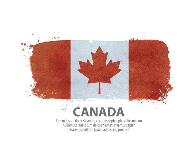kanada flaga. ilustracja wektorowa - flag canadian flag patriotism national flag stock illustrations