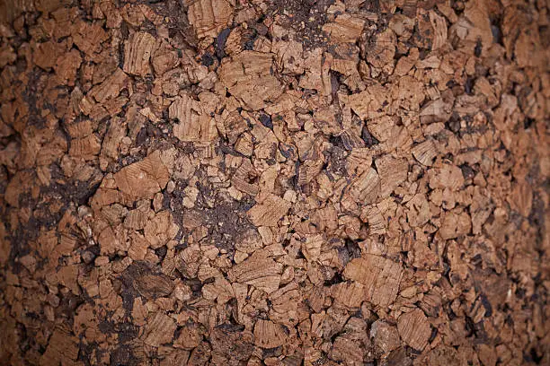 Photo of closeup of cork board patterncloseup of cork board pattern