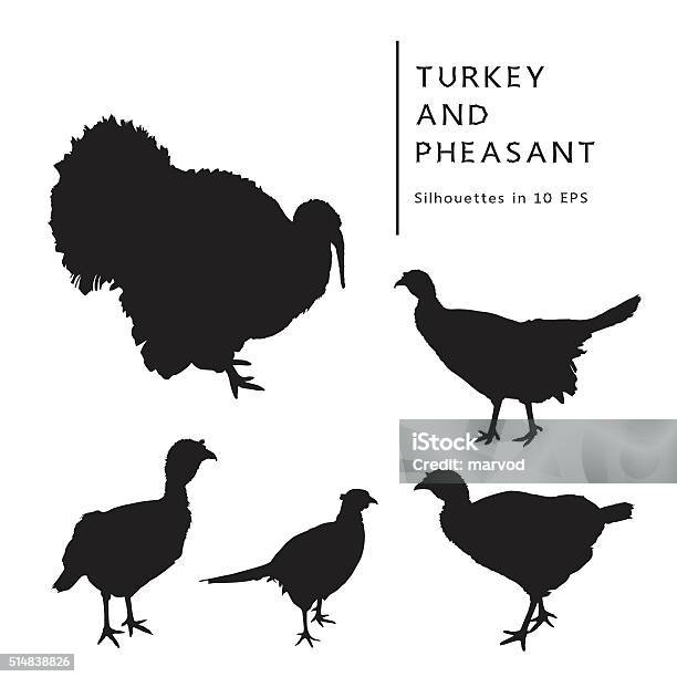 Turkey Turkey Cock And Pheasant Stock Illustration - Download Image Now - Turkey - Bird, Turkey Meat, In Silhouette