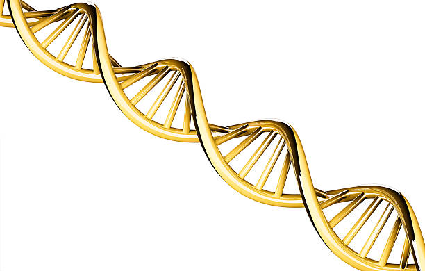 istock 3d rendered, DNA gold with copy space, isolated on white 514842370