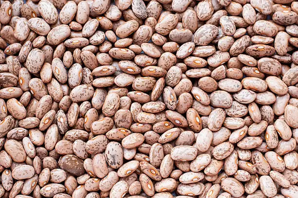 Healthy Brown Pinto Beans with High Fiber and Low Fat Contents, used for Wallpaper Backgrounds. Captured in High Angle View