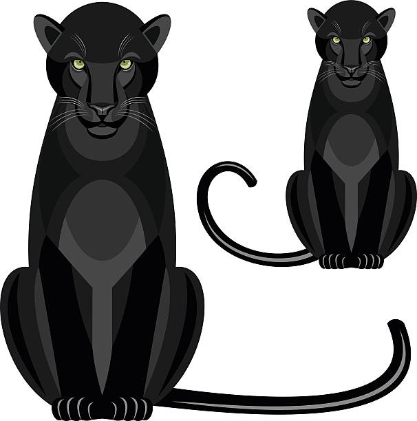 Panther Stock Illustration - Download Image Now - Black Leopard, Abstract,  Animal - iStock