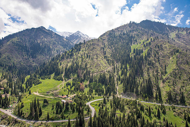 istock landscape, mountain, forest, kazakhstan 514848906