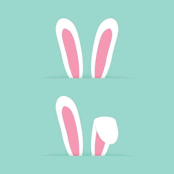 две пары как счастливый пасхальный кролик уши, - заяц stock illustrations